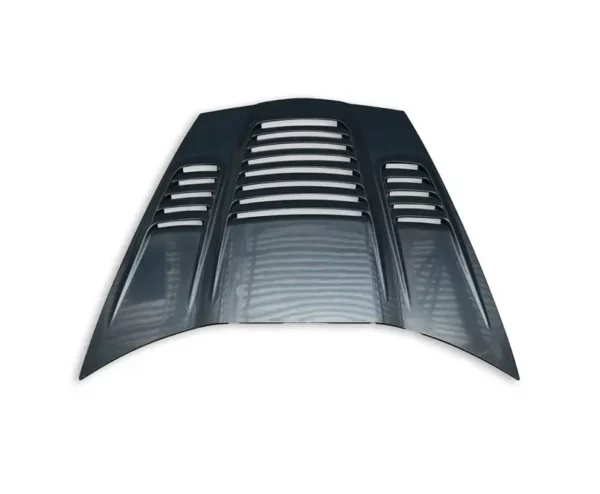 c61 Corvette C6 - World Challenge Hood